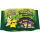 Pokemon Trick or Trade BOOster 2023 - ENGLISCH